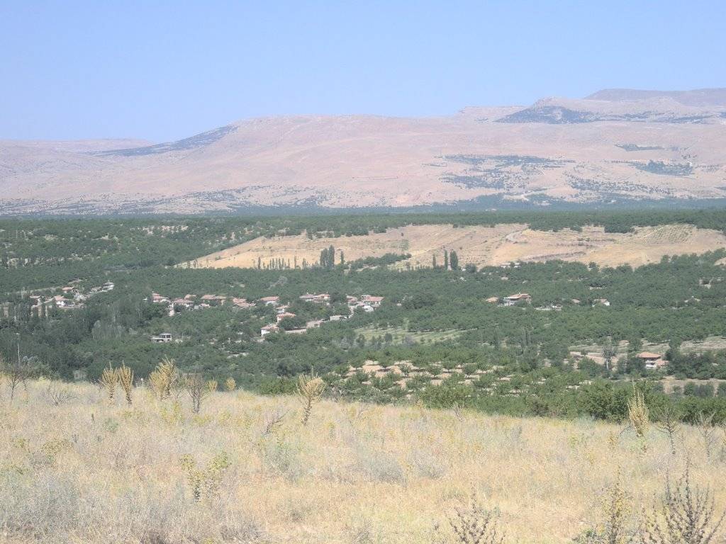 Akçadağ Kömekavak Köyü Resimleri 3