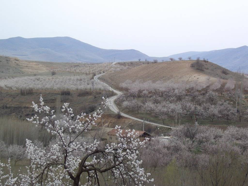 Akçadağ Kömekavak Köyü Resimleri 4