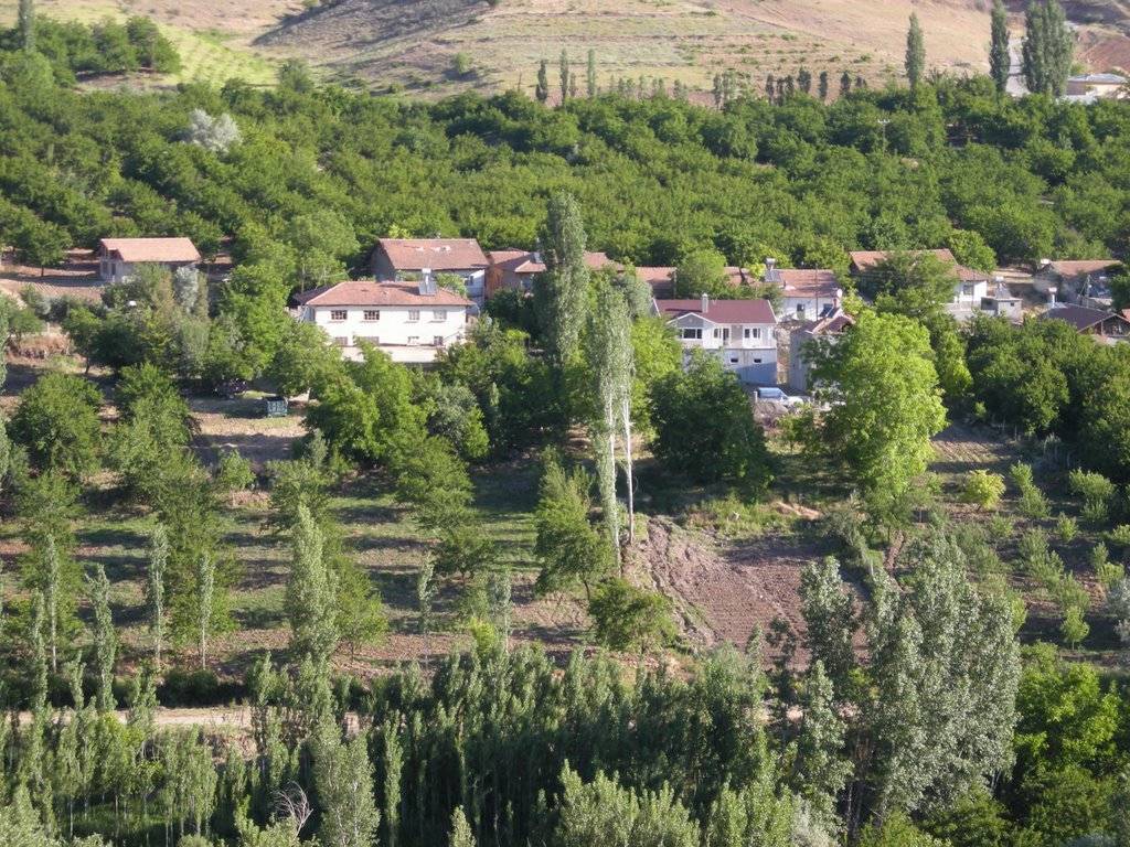 Akçadağ Kömekavak Köyü Resimleri 5