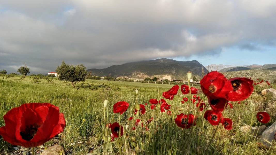 İslahiye Değirmencik Köyü Resimleri 3