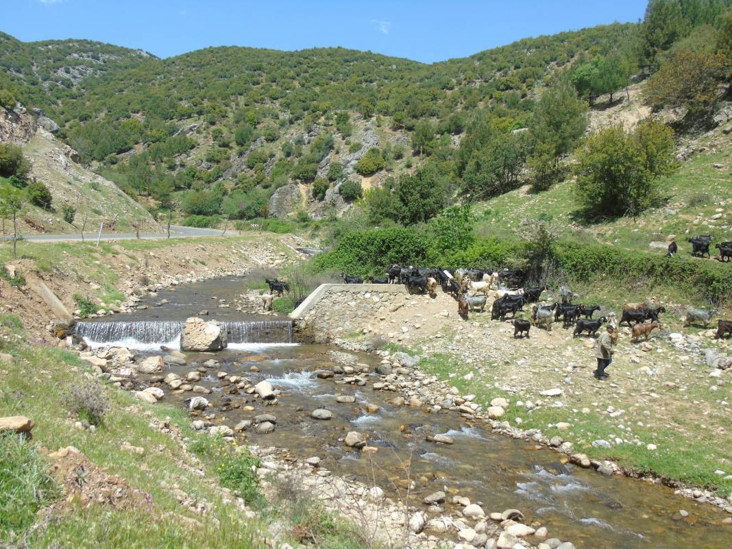 İslahiye Değirmencik Köyü Resimleri 5