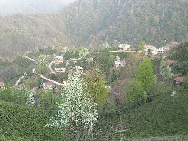 İslahiye Erenler Köyü Resimleri 1