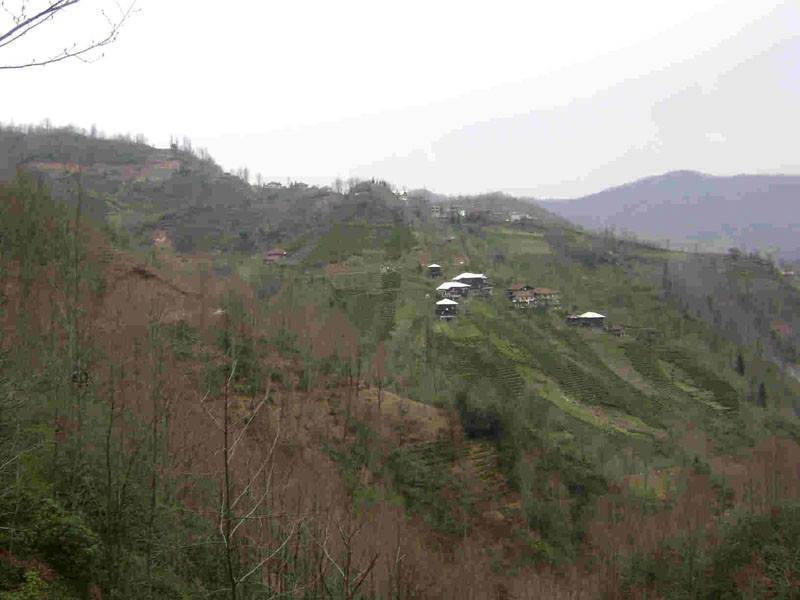 İslahiye Erenler Köyü Resimleri 3