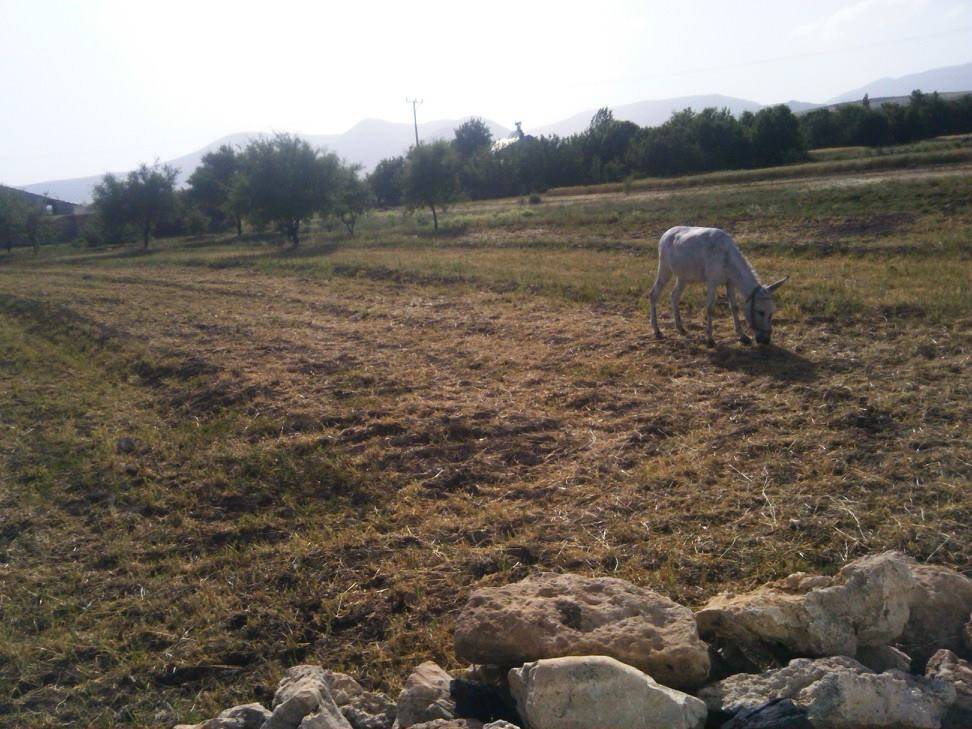 Arapgir Aktaş Köyü Resimleri 1
