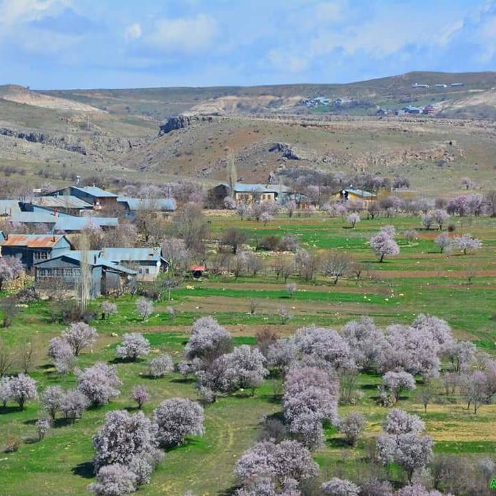 Arapgir Aktaş Köyü Resimleri 4