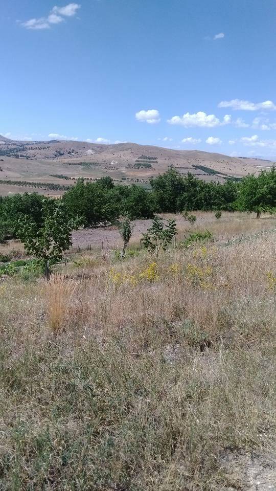 Arapgir Aktaş Köyü Resimleri 5