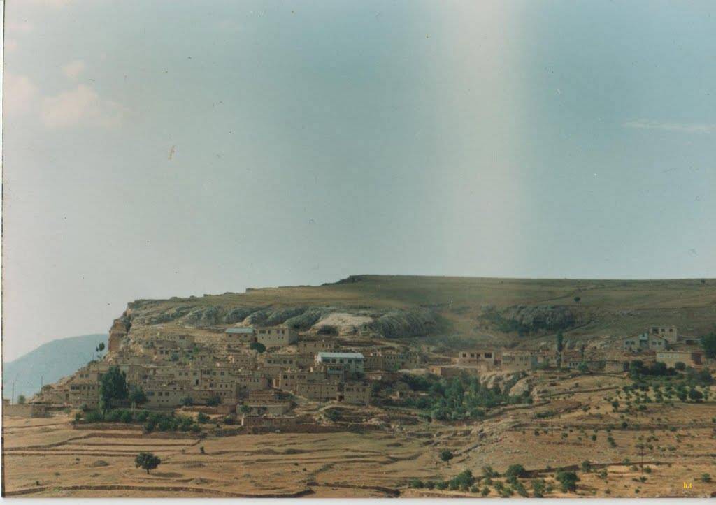 Arapgir Alıçlı Köyü Resimleri 1