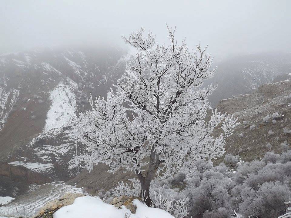 Arapgir Alıçlı Köyü Resimleri 9