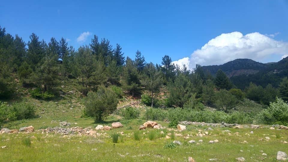 İslahiye Hasanlök Köyü Resimleri 14