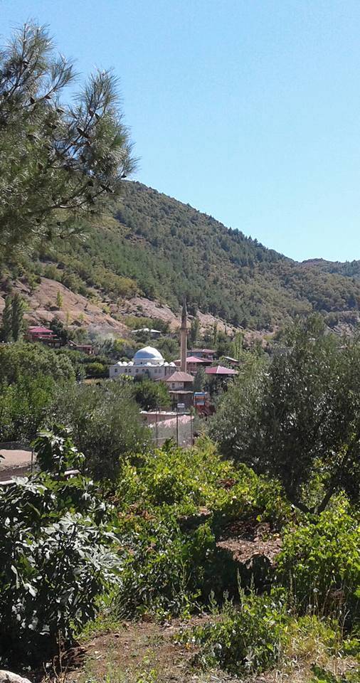 İslahiye Hasanlök Köyü Resimleri 3