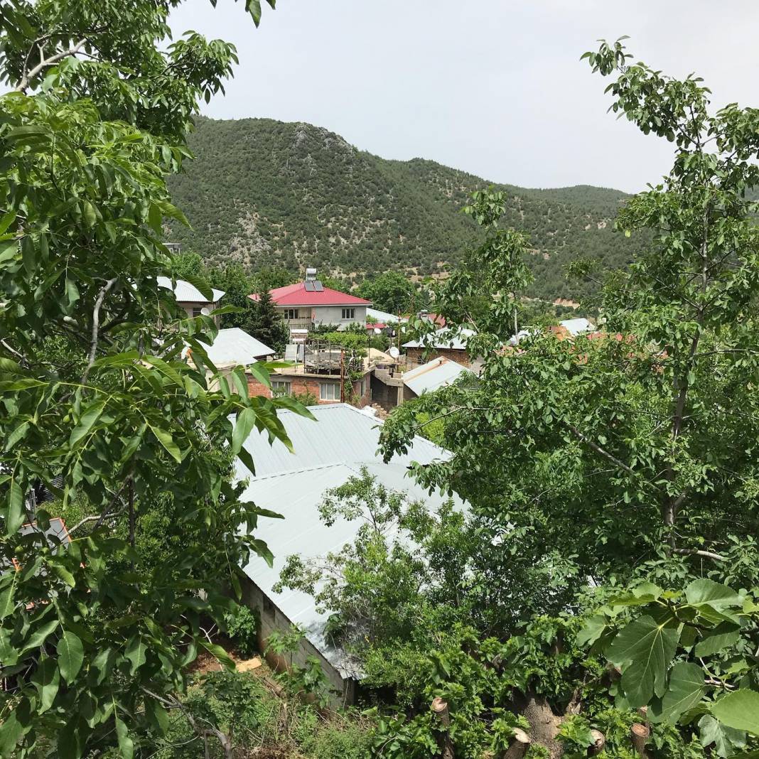 İslahiye İdilli Köyü Resimleri 3