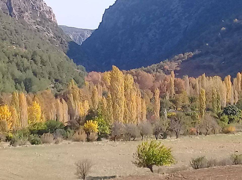 İslahiye İdilli Köyü Resimleri 4