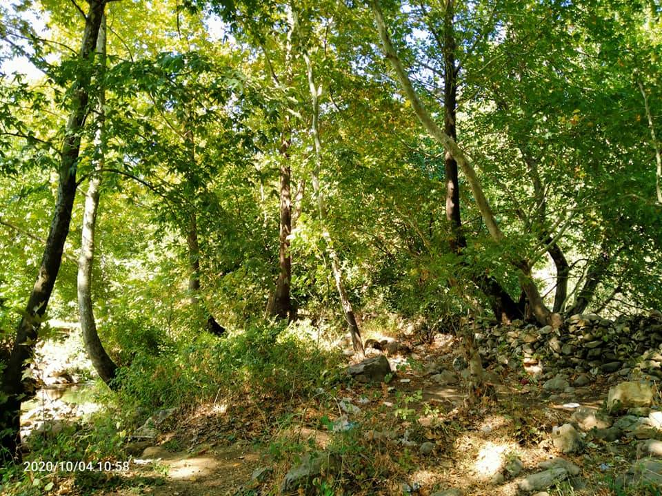 İslahiye İdilli Köyü Resimleri 6