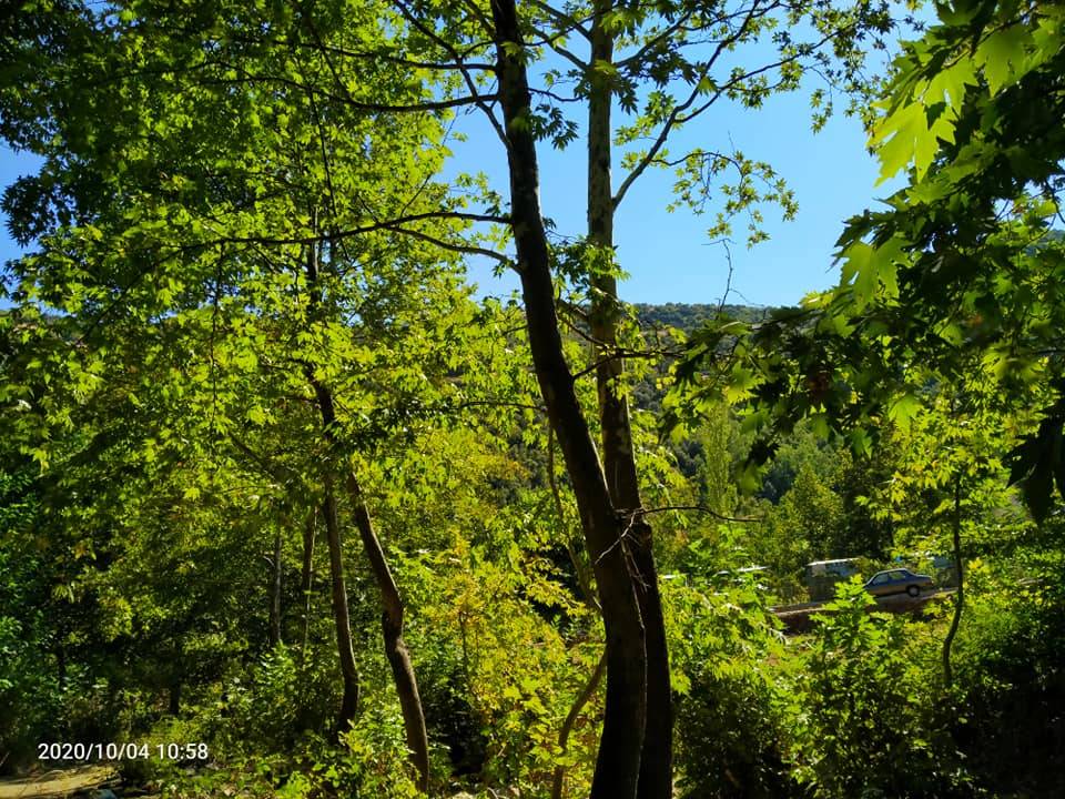 İslahiye İdilli Köyü Resimleri 7