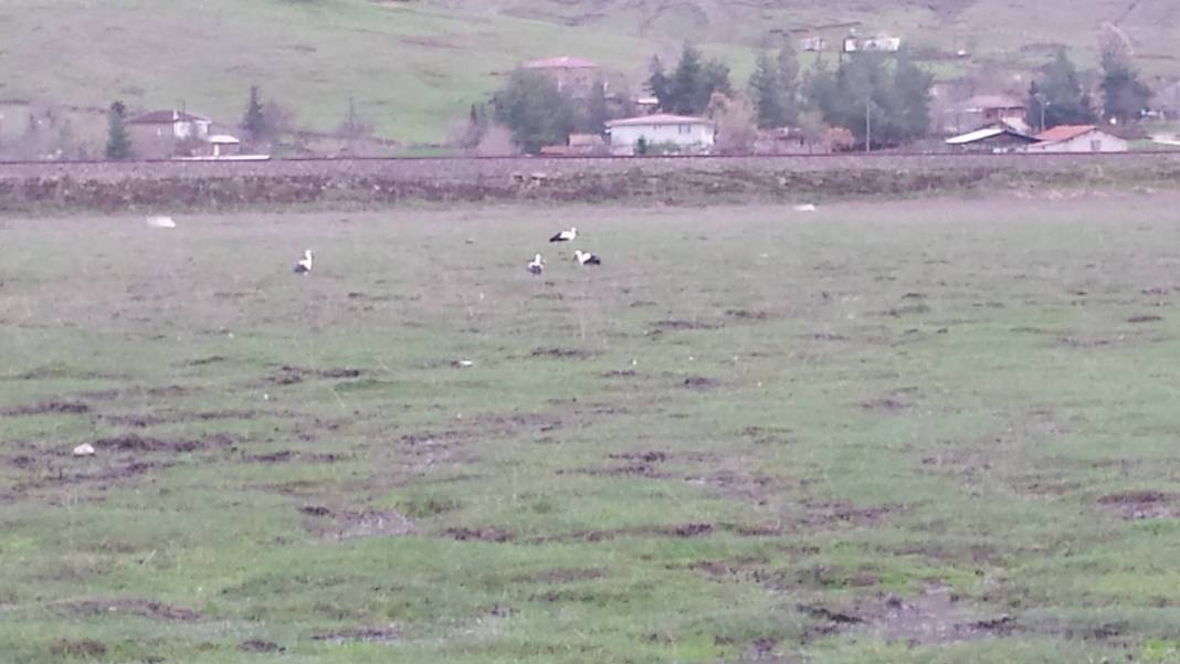 İslahiye Kalaycık Köyü Resimleri 2