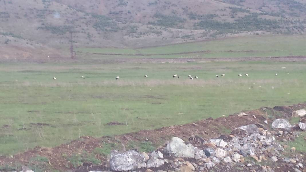 İslahiye Kalaycık Köyü Resimleri 4