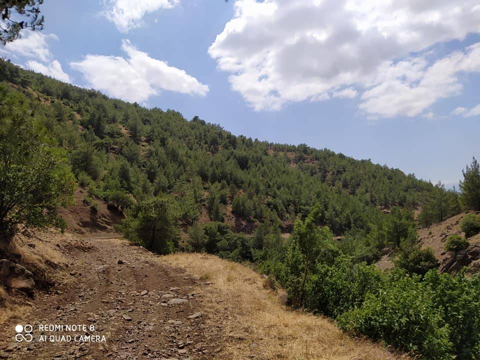 İslahiye Karakaya Köyü Resimleri 1