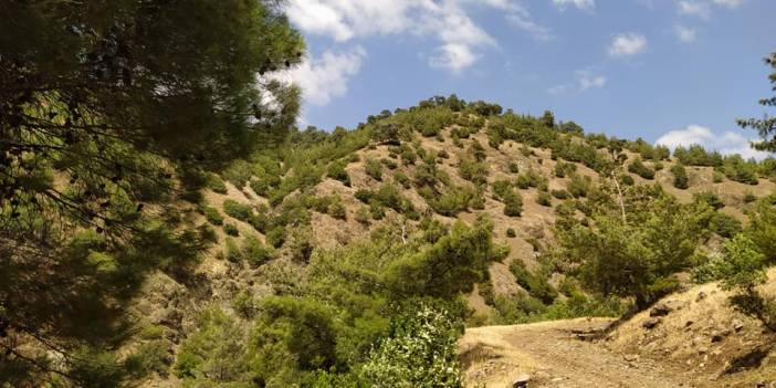 İslahiye Karakaya Köyü Resimleri