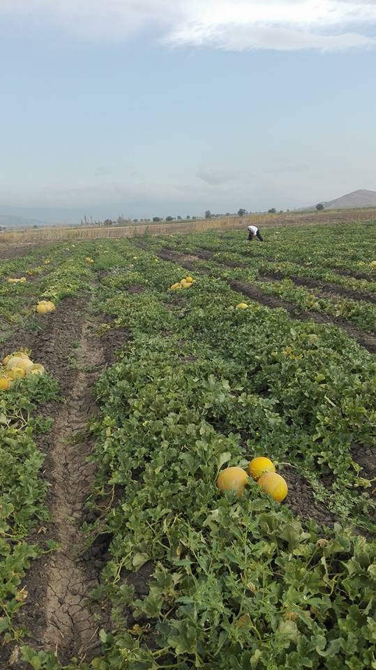 İslahiye Karapınar Köyü Resimleri 3