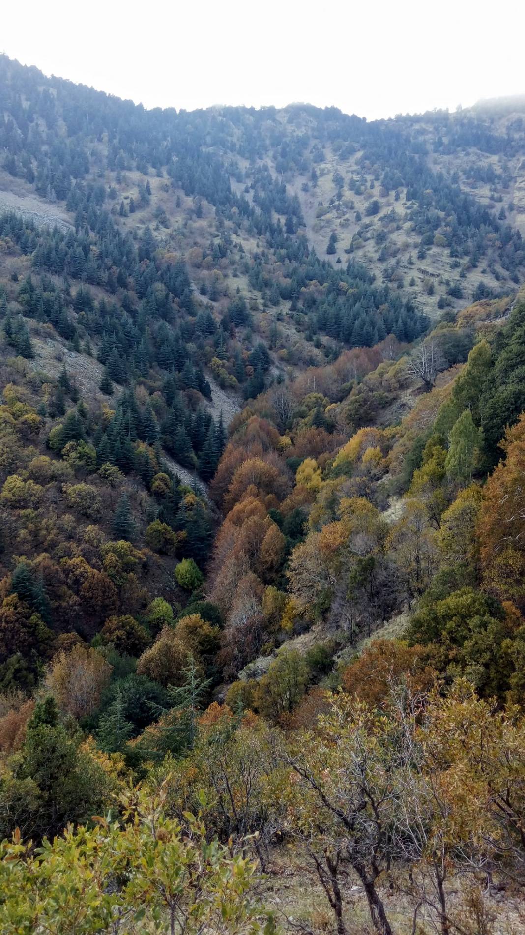İslahiye Karapınar Köyü Resimleri 7