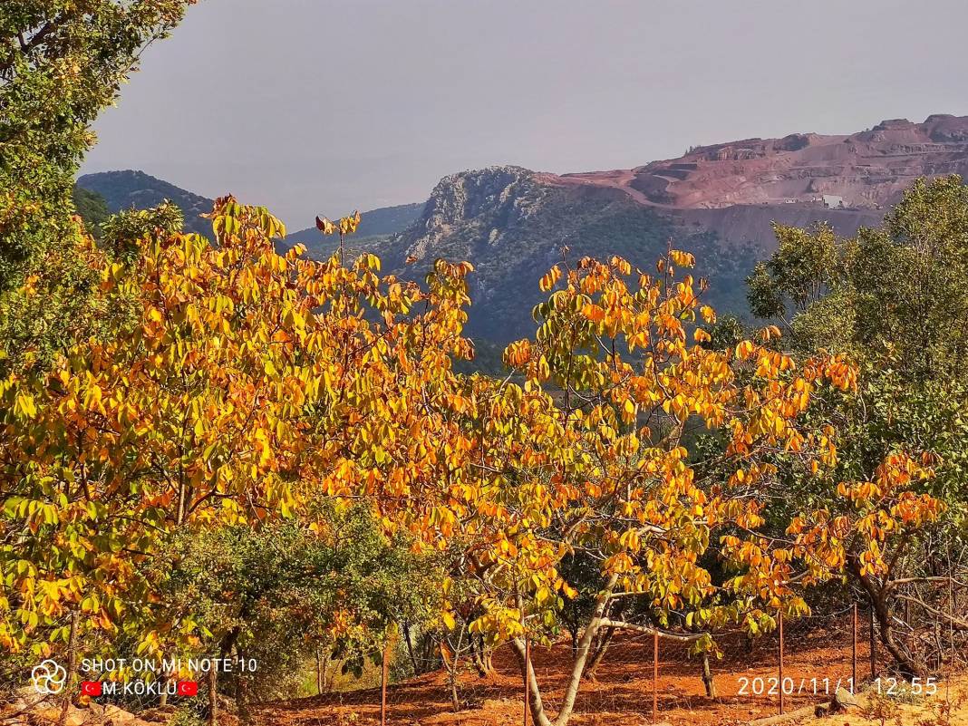 İslahiye Koçcağız Köyü Resimleri 10