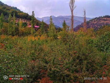 İslahiye Koçcağız Köyü Resimleri 11