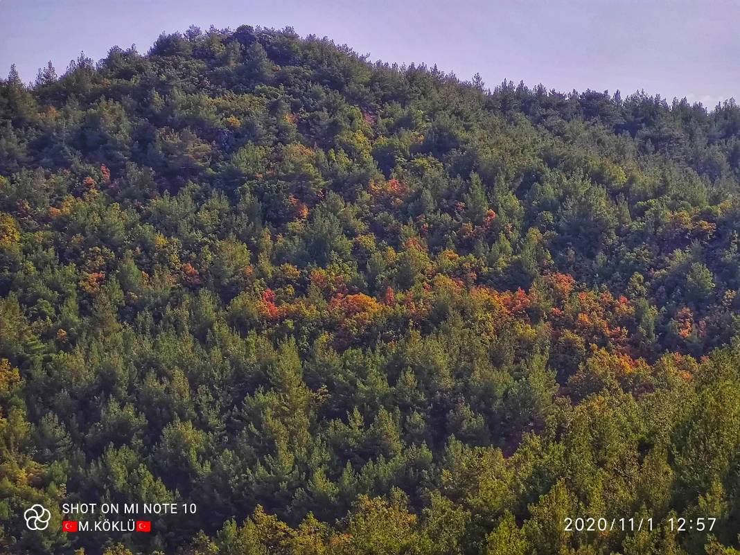 İslahiye Koçcağız Köyü Resimleri 12