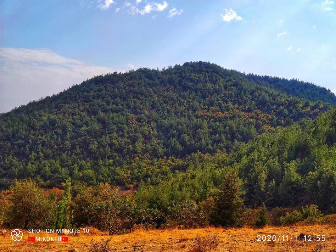İslahiye Koçcağız Köyü Resimleri 13