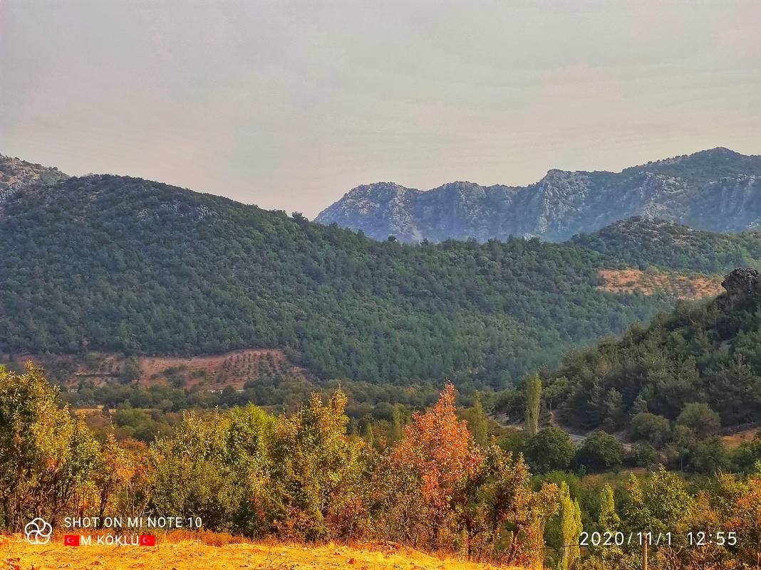İslahiye Koçcağız Köyü Resimleri 14
