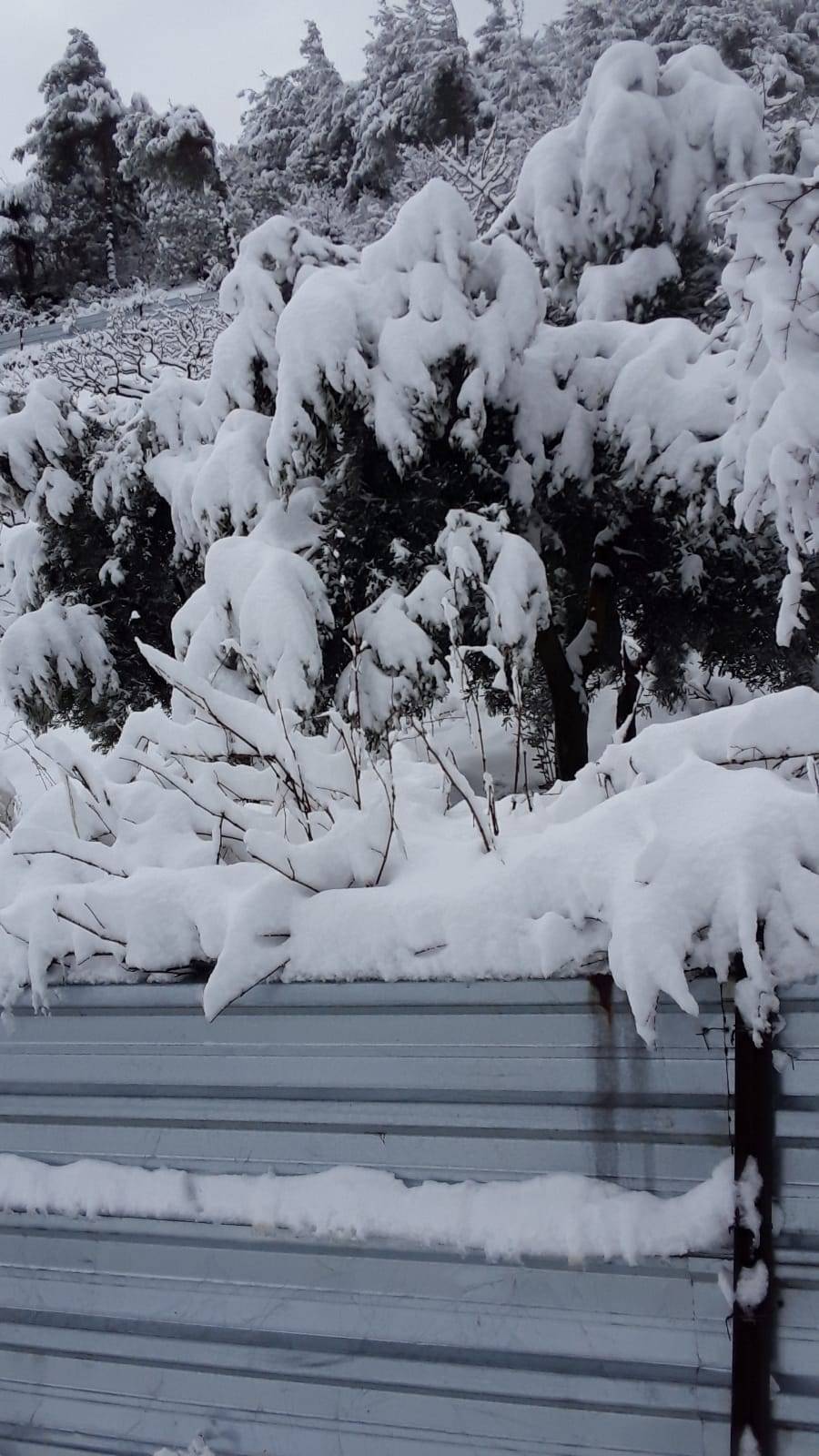 İslahiye Koçcağız Köyü Resimleri 15