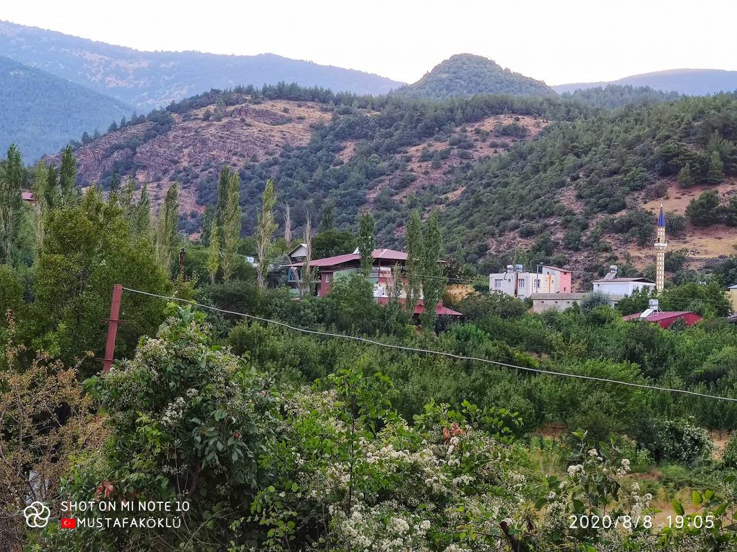 İslahiye Koçcağız Köyü Resimleri 3