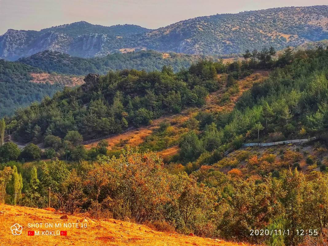 İslahiye Koçcağız Köyü Resimleri 8