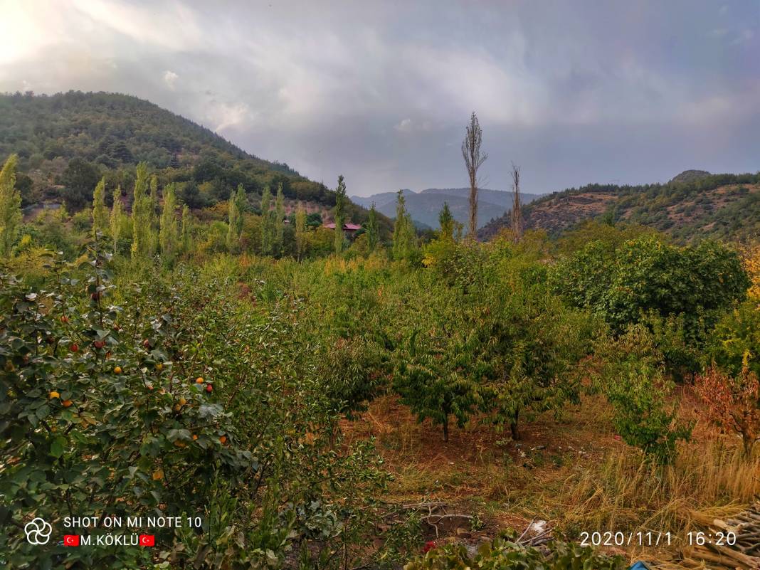 İslahiye Koçcağız Köyü Resimleri 9