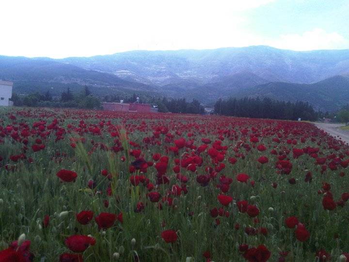 İslahiye Kozdere Köyü Resimleri 1