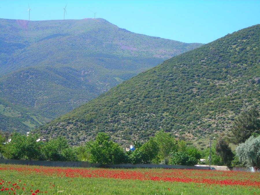 İslahiye Kozdere Köyü Resimleri 2