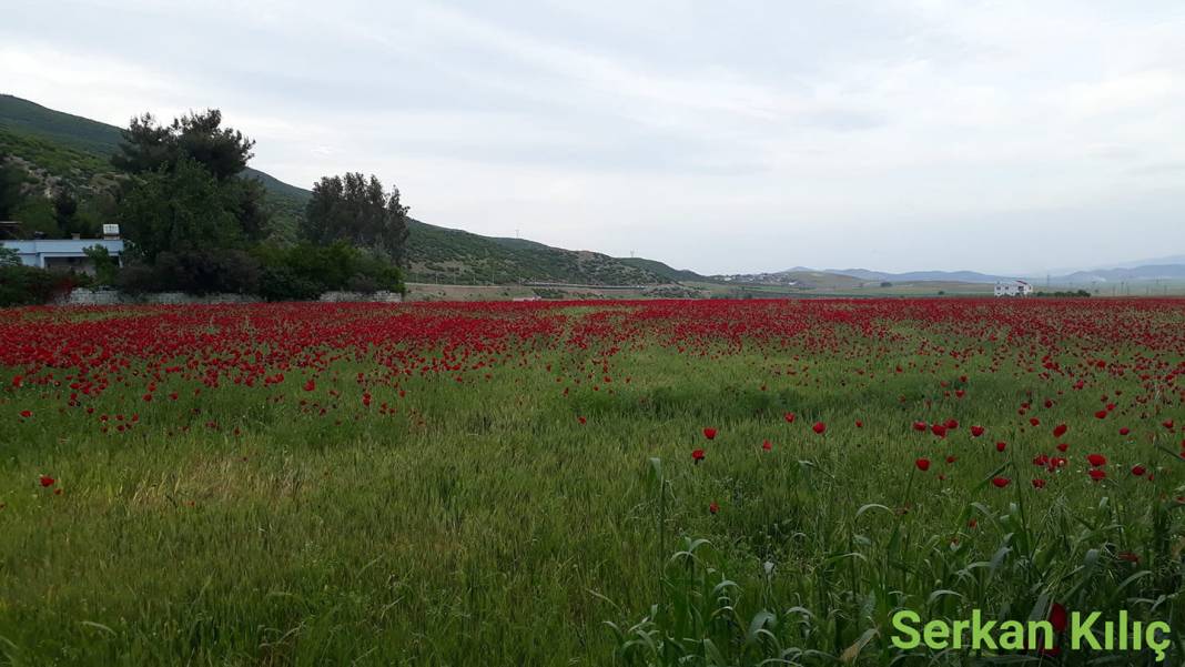 İslahiye Kozdere Köyü Resimleri 4