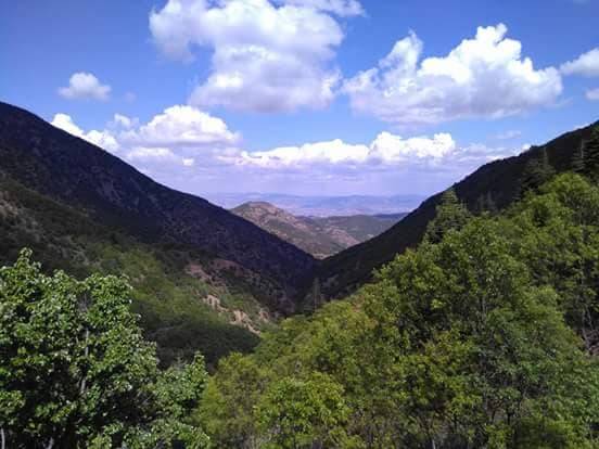 İslahiye Köklü Köyü Resimleri 10