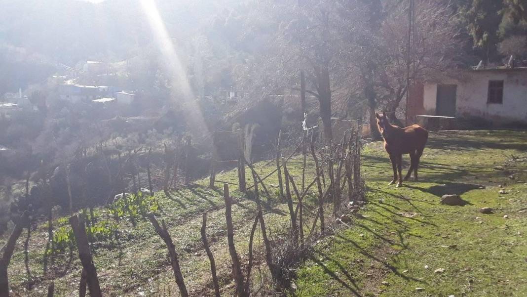 İslahiye Kuşçumustafa Köyü Resimleri 10