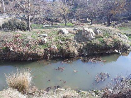 İslahiye Kuşçumustafa Köyü Resimleri 11