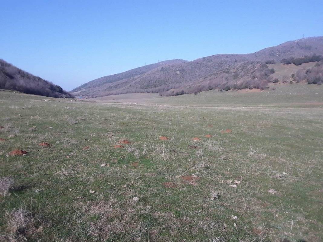 İslahiye Kuşçumustafa Köyü Resimleri 14