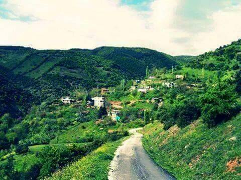 İslahiye Kuşçumustafa Köyü Resimleri 2