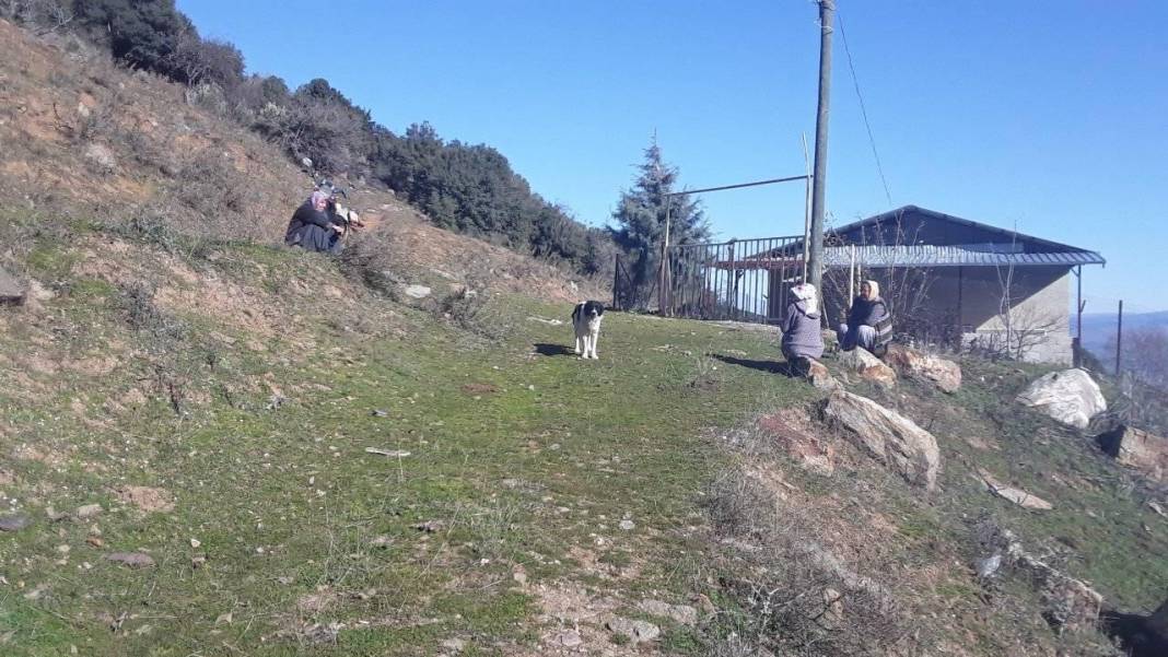 İslahiye Kuşçumustafa Köyü Resimleri 8