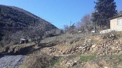 İslahiye Kuşçumustafa Köyü Resimleri 9