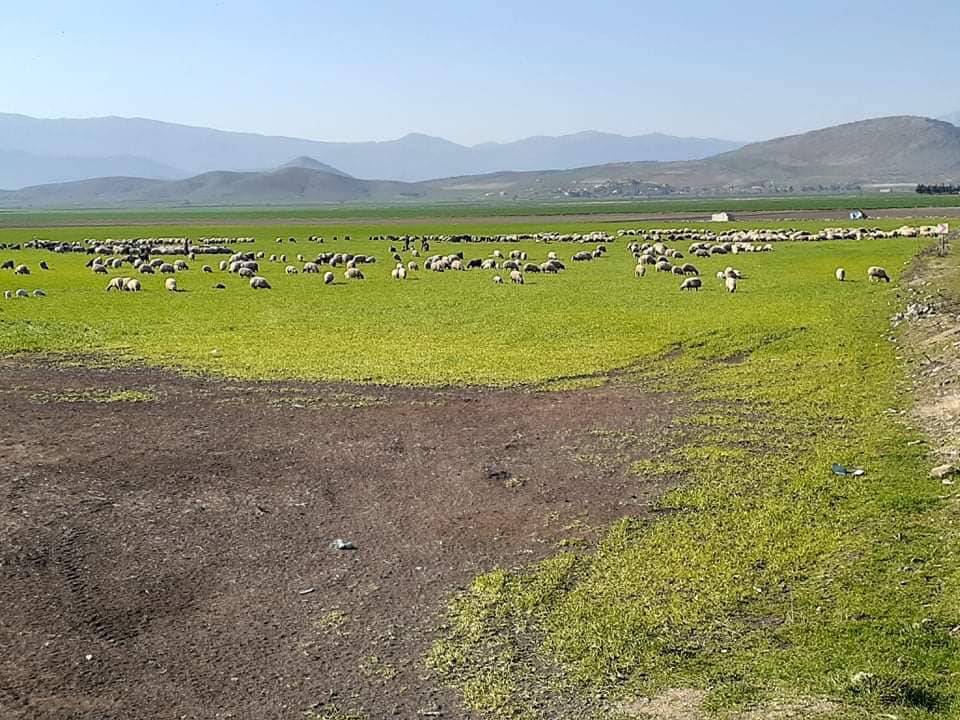 İslahiye Ortaklı Köyü Resimleri 13