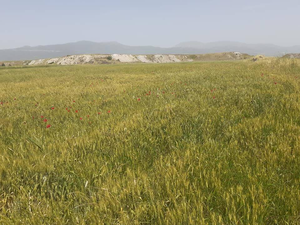 İslahiye Örtülü Köyü Resimleri 3