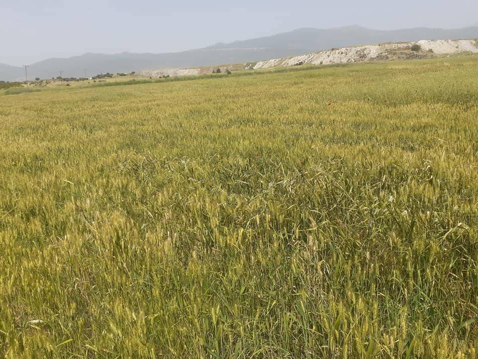 İslahiye Örtülü Köyü Resimleri 4