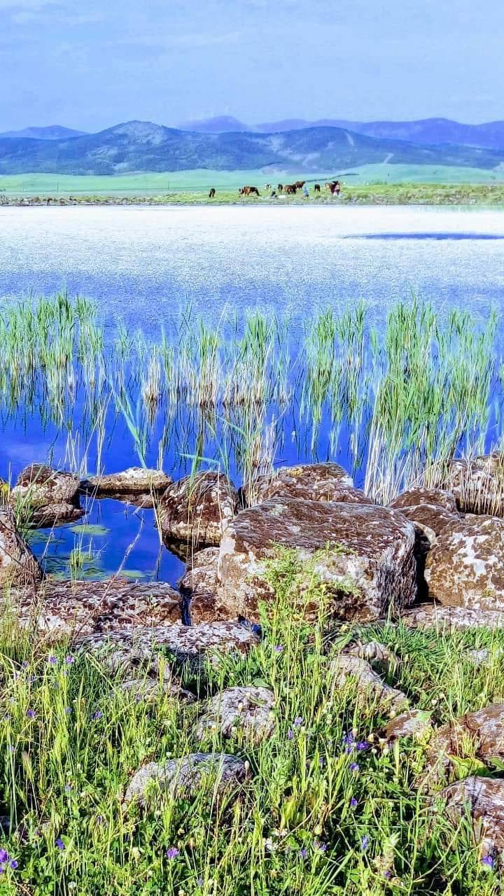 İslahiye Örtülü Köyü Resimleri 5