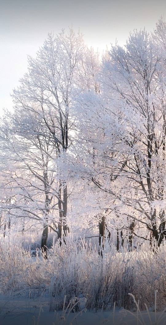 İslahiye Pınarbaşı Köyü Resimleri 2