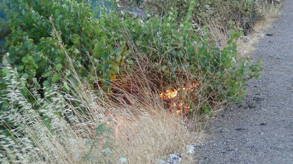 İslahiye Serinevler Köyü Resimleri 1