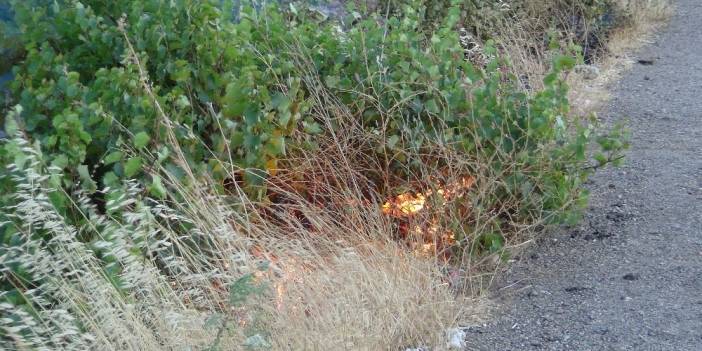 İslahiye Serinevler Köyü Resimleri